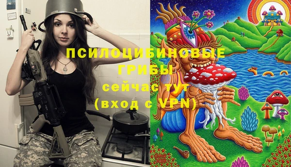 герыч Алексин