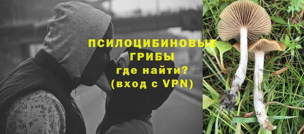 шишки Алексеевка