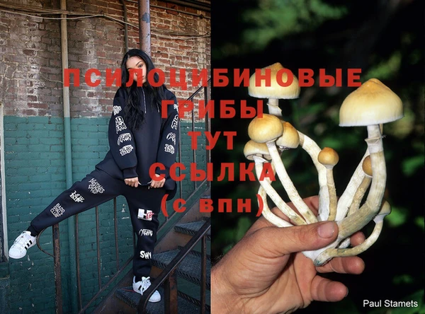 герыч Алексин
