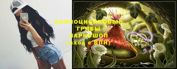 герыч Алексин