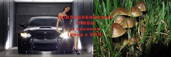 герыч Алексин
