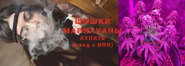 шишки Алексеевка