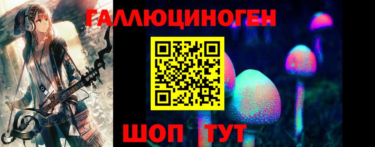 Петровск  Галлюциногенные грибы мицелий  Вход с VPN  Псилоцибиновые грибы Psilocybine cubensis 