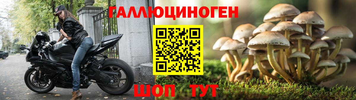 Меф МЯУ МЯУ   Марихуана  НБОМе  Петровск  МЕТАМФЕТАМИН  Вход с VPN 